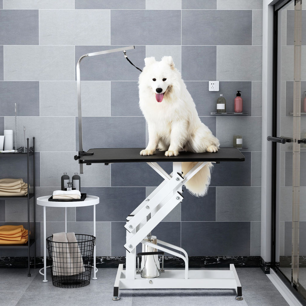 Professional Hydraulic Pet Grooming Table with Adjustable Arm