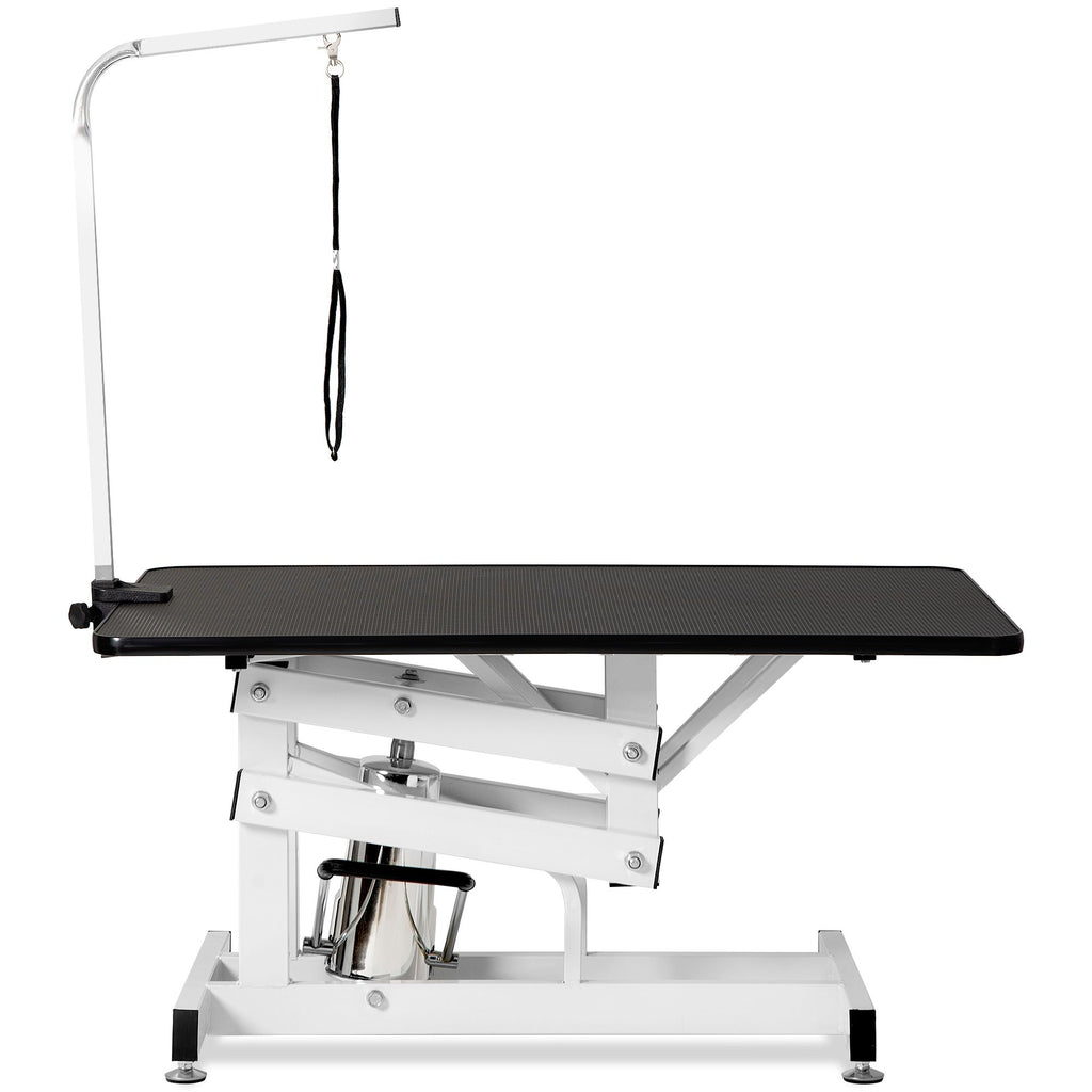 Professional Hydraulic Pet Grooming Table with Adjustable Arm