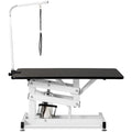 Professional Hydraulic Pet Grooming Table with Adjustable Arm