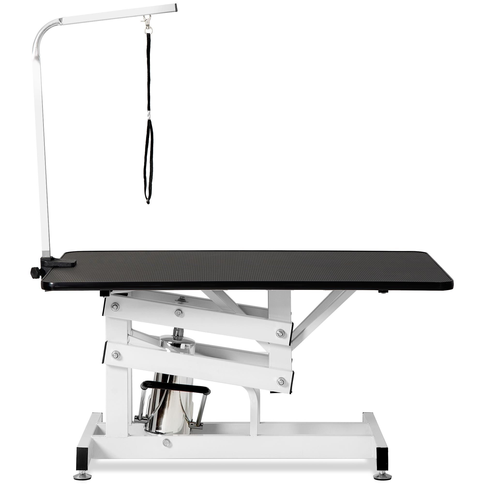 Professional Hydraulic Pet Grooming Table with Adjustable Arm