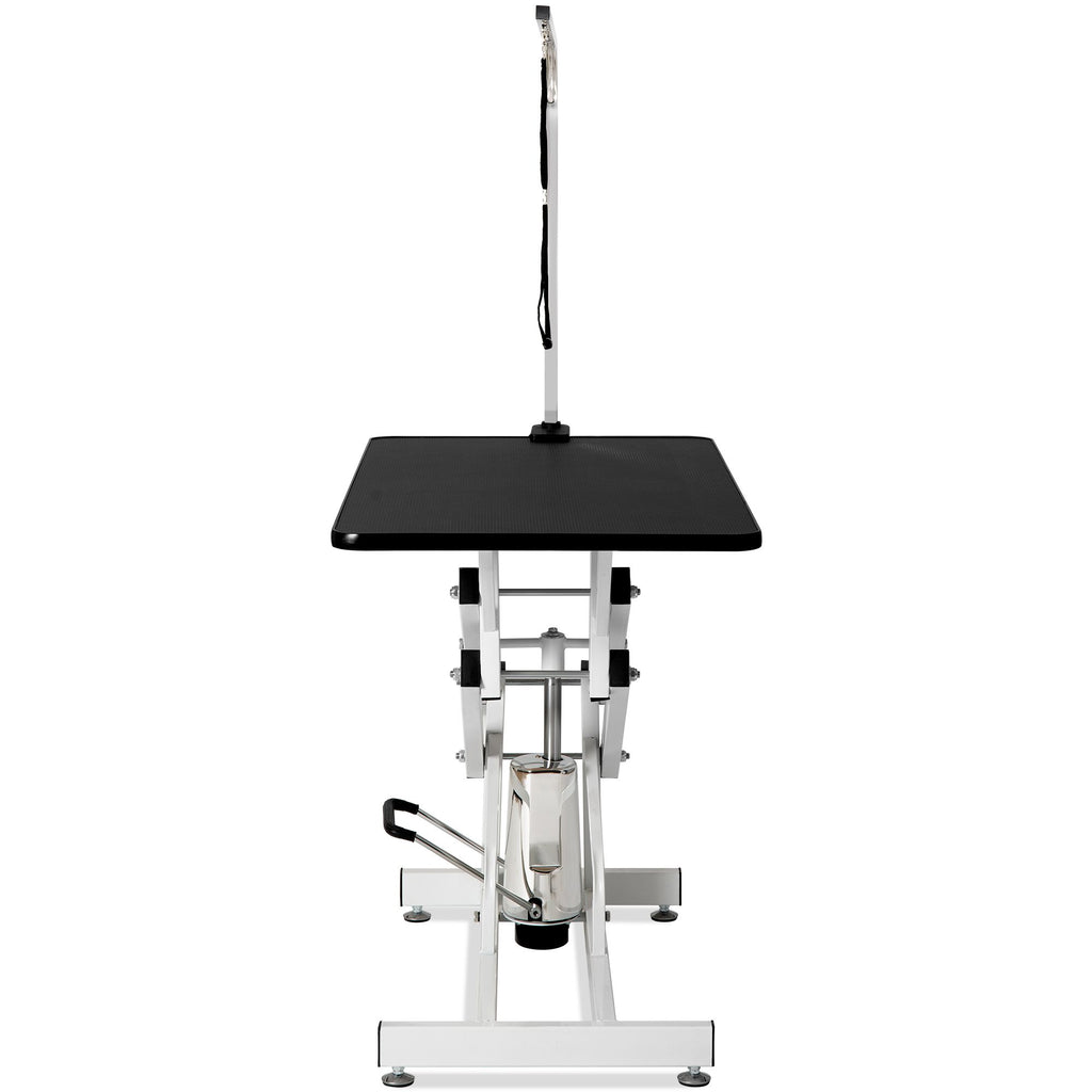 Professional Hydraulic Pet Grooming Table with Adjustable Arm