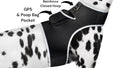 Track Your Pet Anywhere for Just $8/Month – No Contracts, Full Peace of Mind