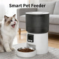 Never Miss a Meal: Smart Auto Feeder with Timed & Remote Control