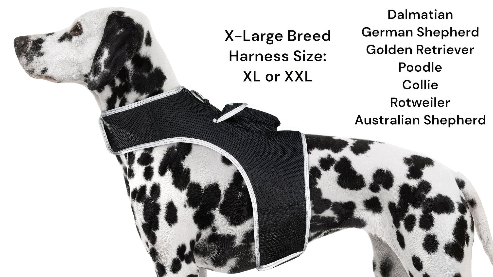Keep Tabs on Your Furry Friend Anywhere with GPS Tracking Harness