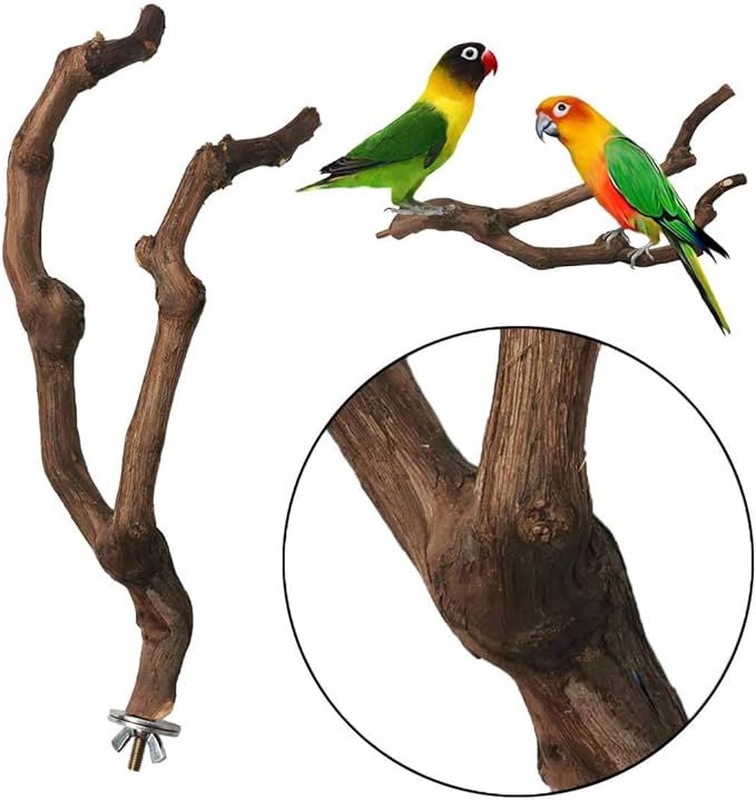 kathson Natural Parrot Perch Bird Stand Pole Wild Grape