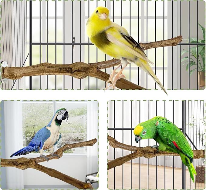 kathson Natural Parrot Perch Bird Stand Pole Wild Grape