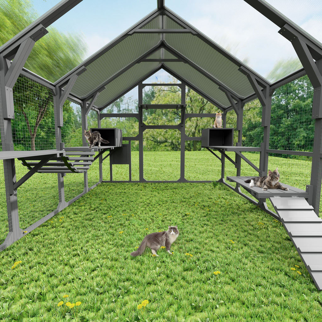 Spacious Catio for Multiple Cats with Condos, Platforms, and Bridge