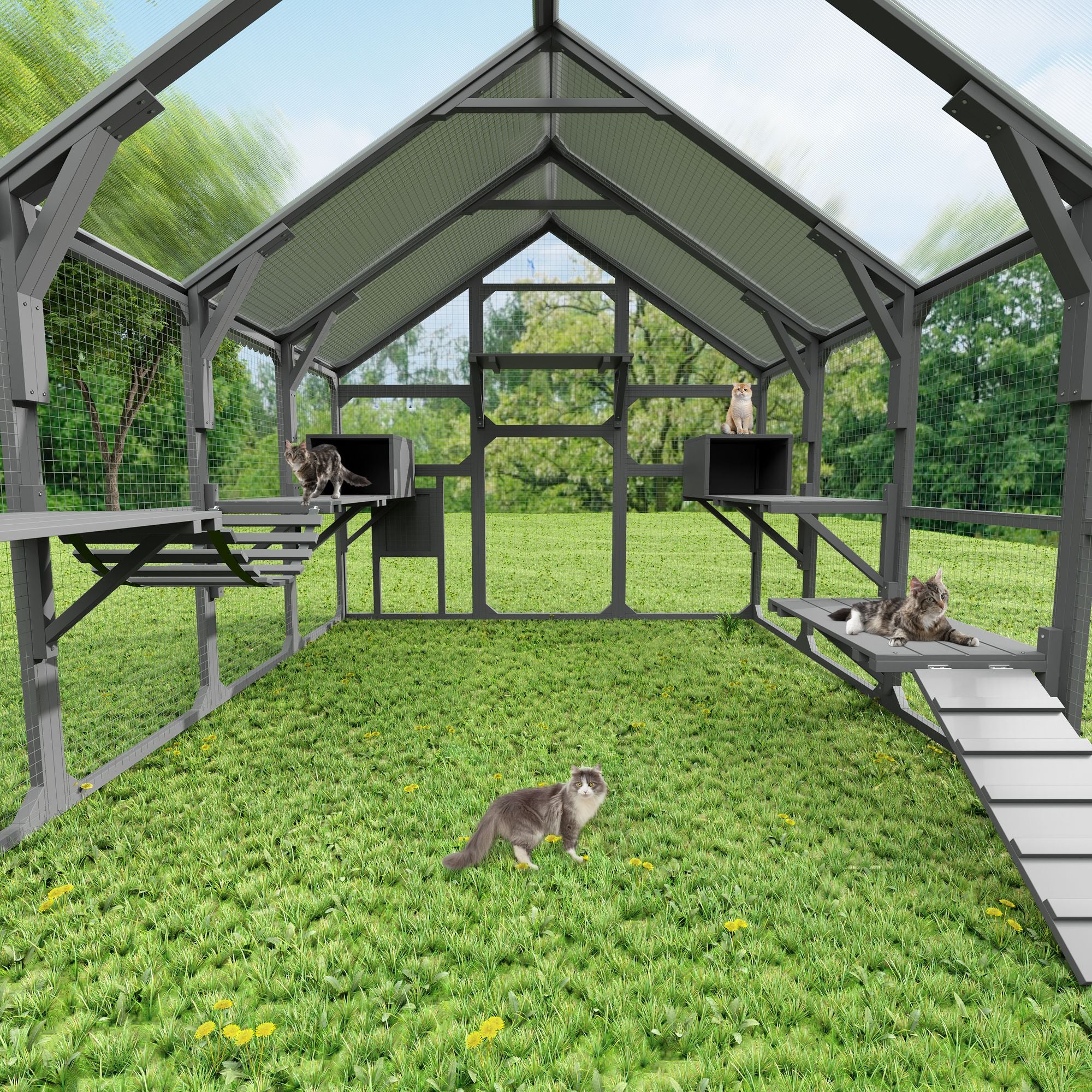 Spacious Catio for Multiple Cats with Condos, Platforms, and Bridge