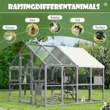 Spacious Catio for Multiple Cats with Condos, Platforms, and Bridge