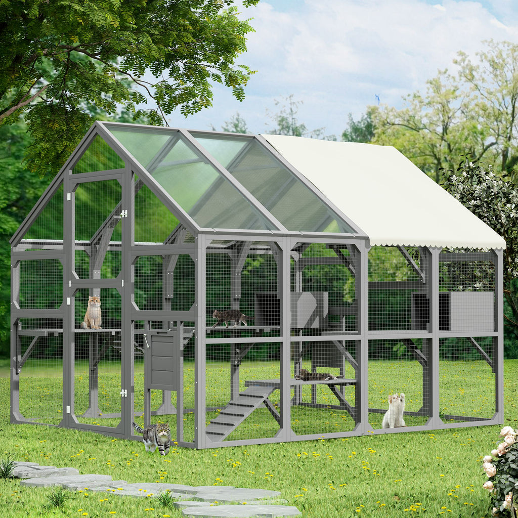 Spacious Catio for Multiple Cats with Condos, Platforms, and Bridge