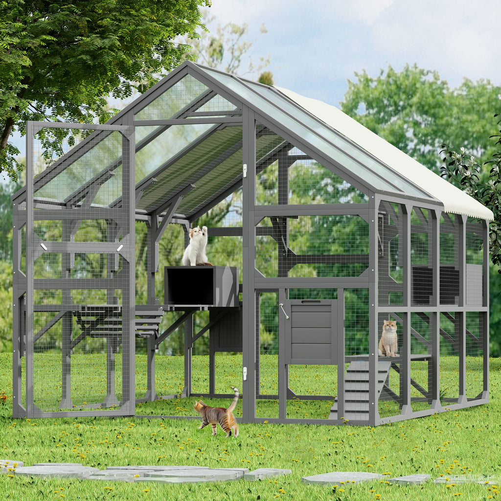 Spacious Catio for Multiple Cats with Condos, Platforms, and Bridge