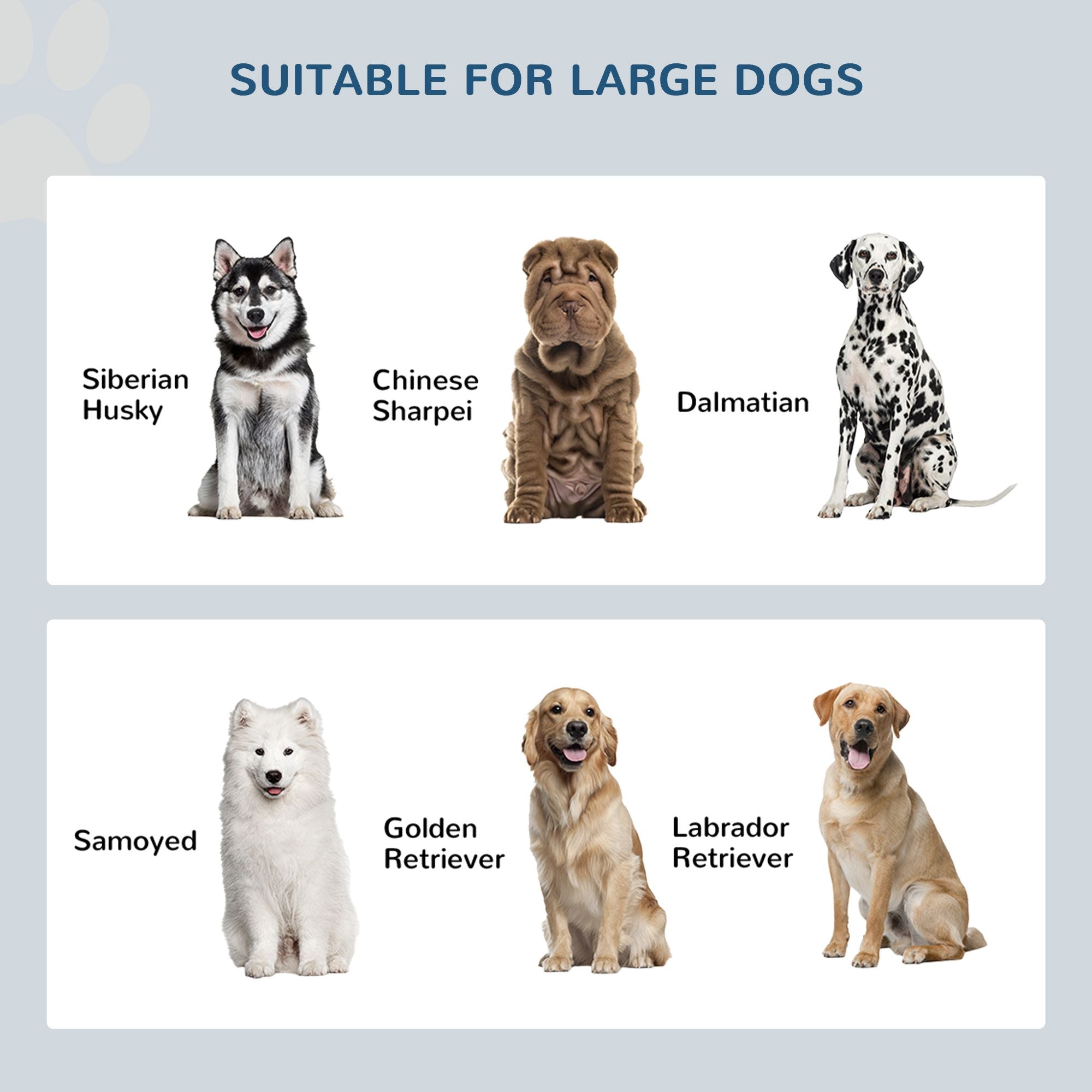 Elevate Mealtime & Organize Pet Gear with This Raised Dog Bowl & Storage Cabinet