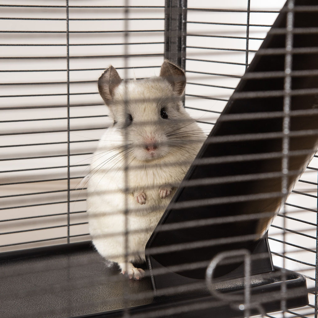 Spacious 4-Tier Small Animal Cage with Hammock and Rolling Wheels