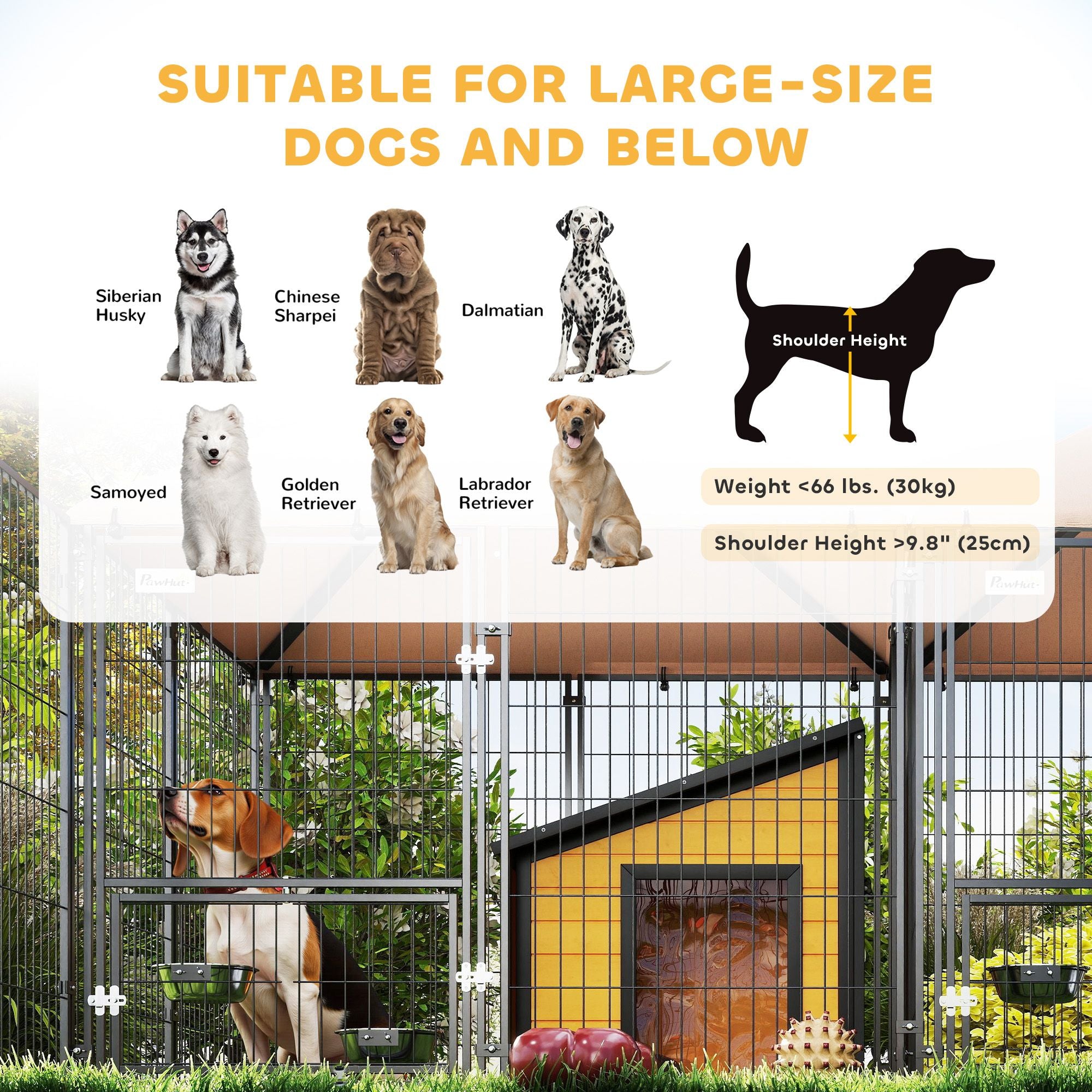 Spacious Outdoor Dog Kennel with Dual Rooms & Rotating Feeding Station
