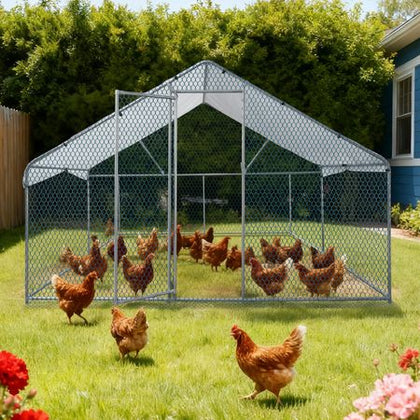 Large Walk-In Chicken Coop with everyday Galvanized Frame and water-ready Anti-UV Cover