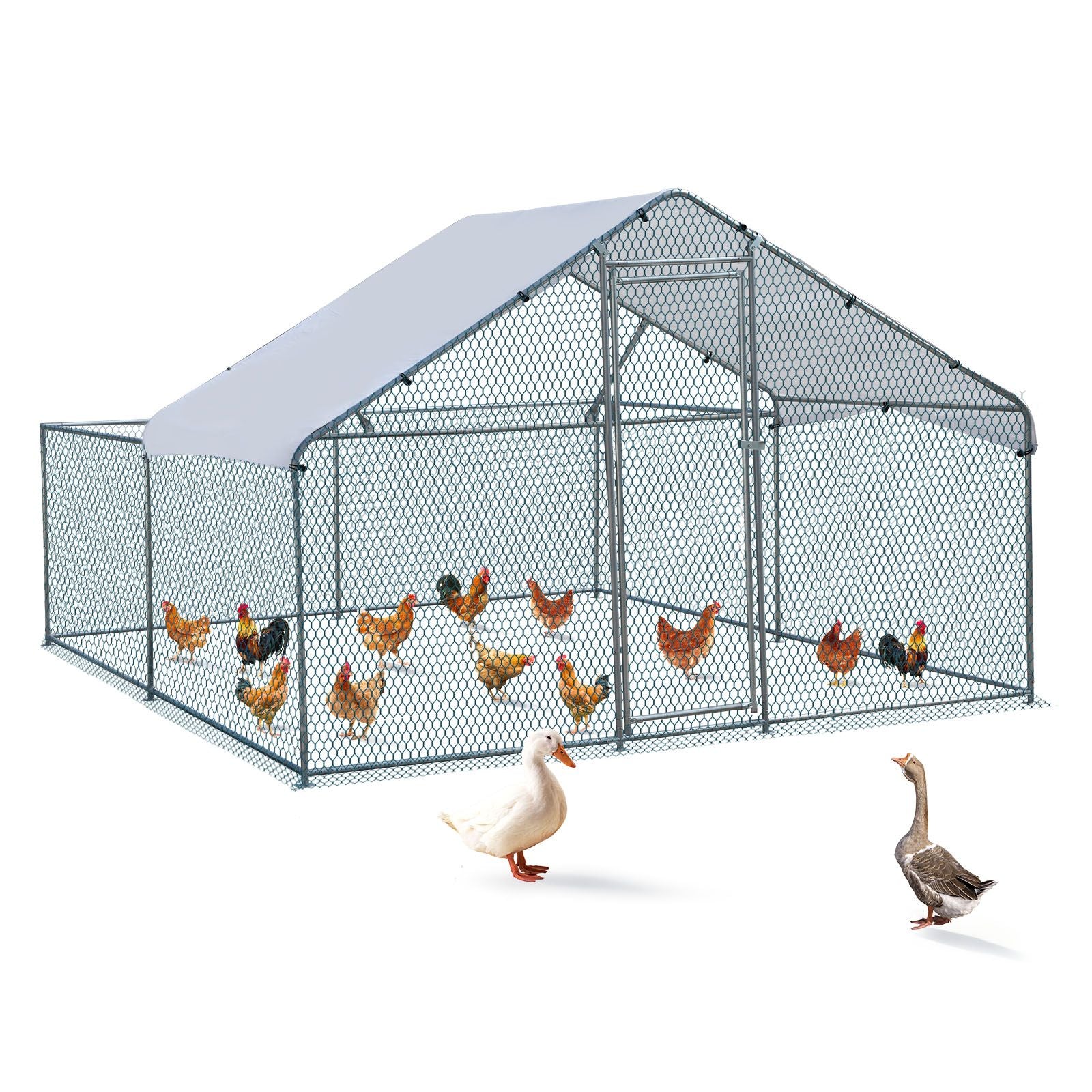 Large Walk-In Chicken Coop with everyday Galvanized Frame and water-ready Anti-UV Cover