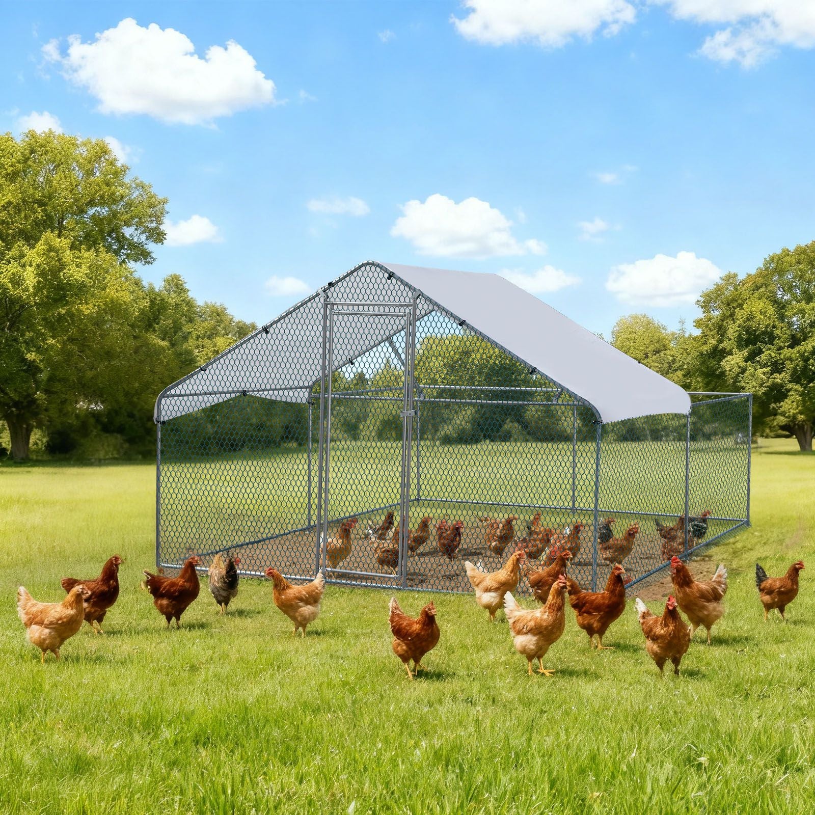Large Walk-In Chicken Coop with everyday Galvanized Frame and water-ready Anti-UV Cover