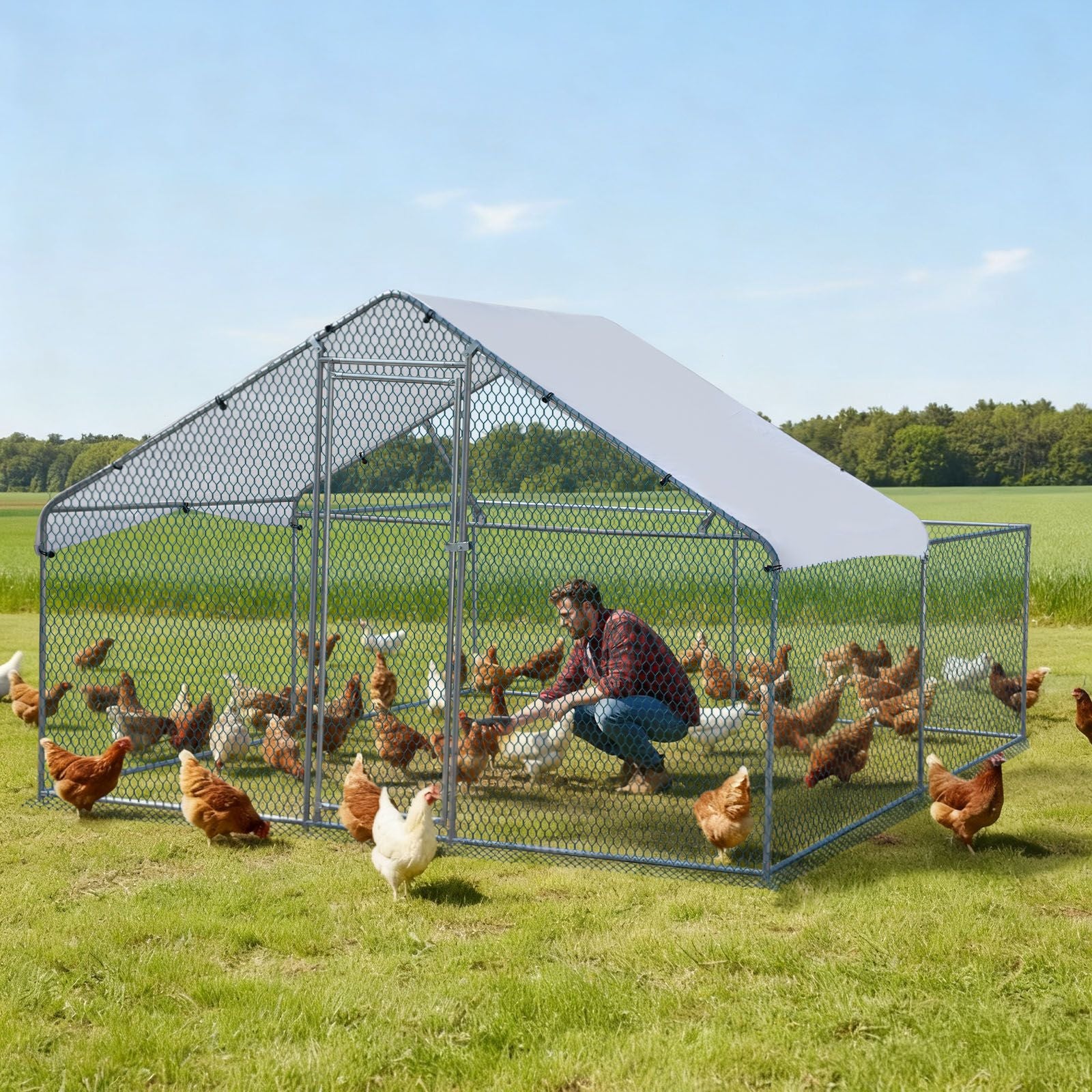 Large Walk-In Chicken Coop with everyday Galvanized Frame and water-ready Anti-UV Cover