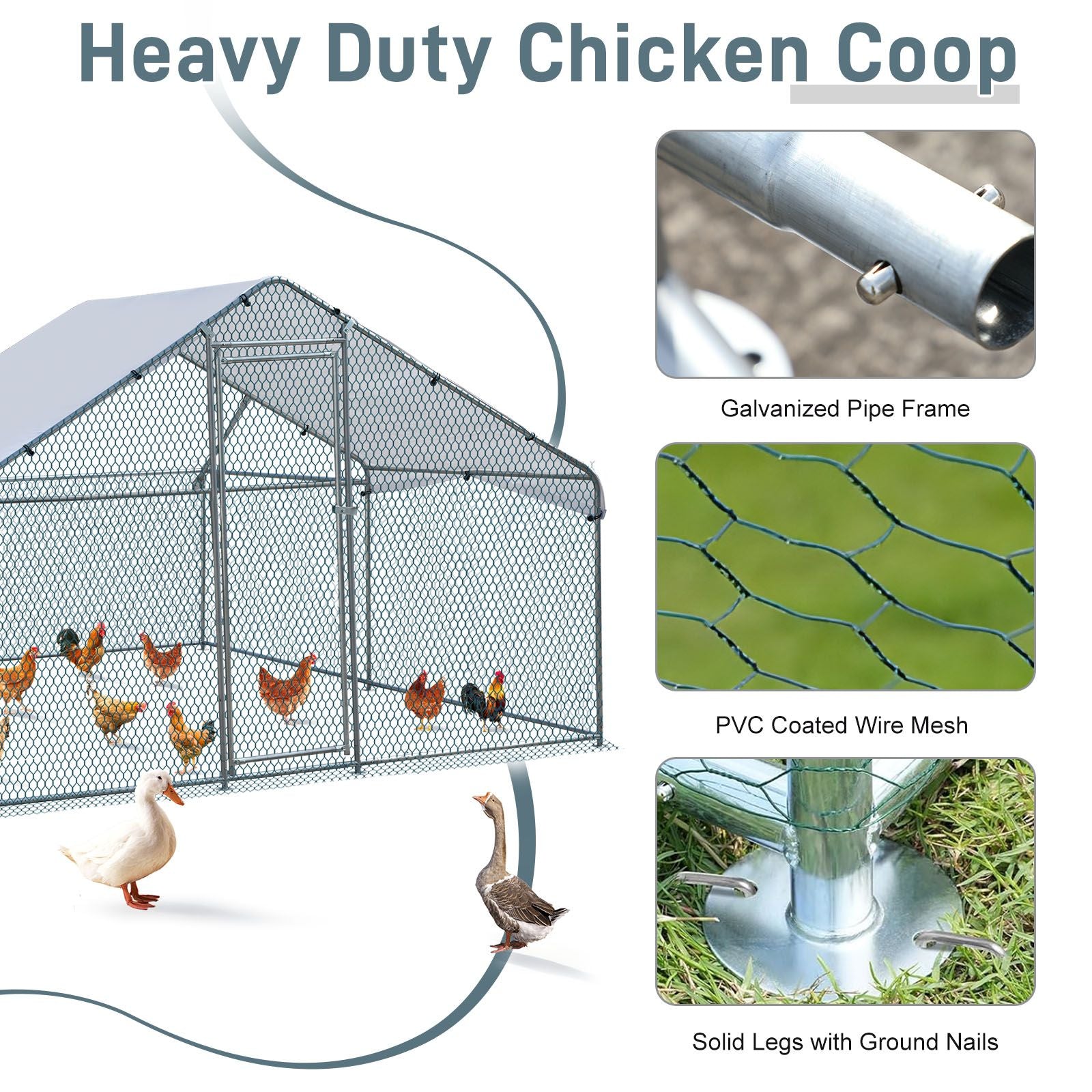 Large Walk-In Chicken Coop with everyday Galvanized Frame and water-ready Anti-UV Cover