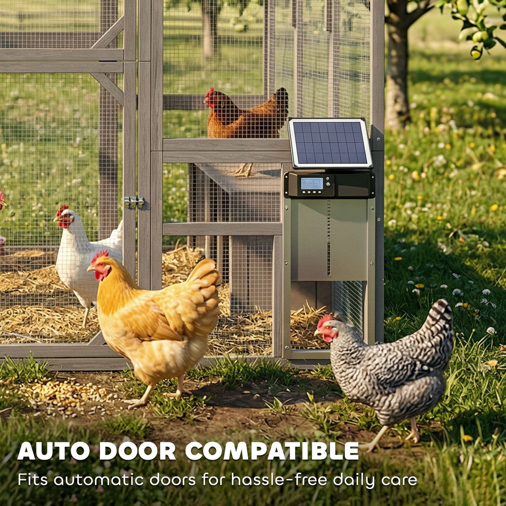 Large furniture-style Chicken Coop with Walk-In Run, Nesting Boxes, and Auto Door Compatibility