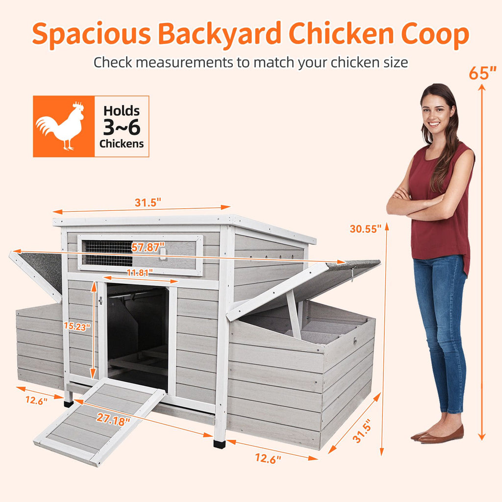 Large furniture-style Chicken Coop with water-ready Base and Secure Latches