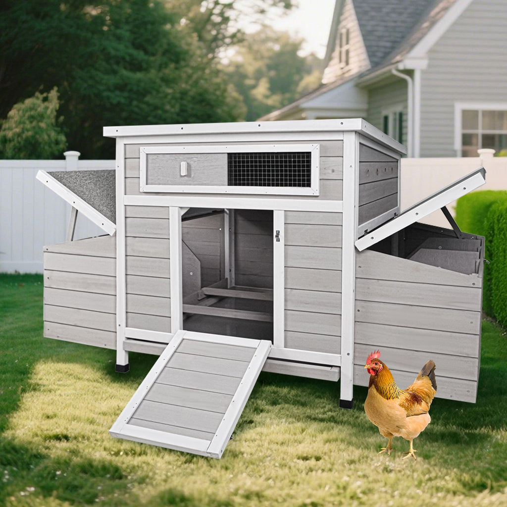 Large furniture-style Chicken Coop with water-ready Base and Secure Latches