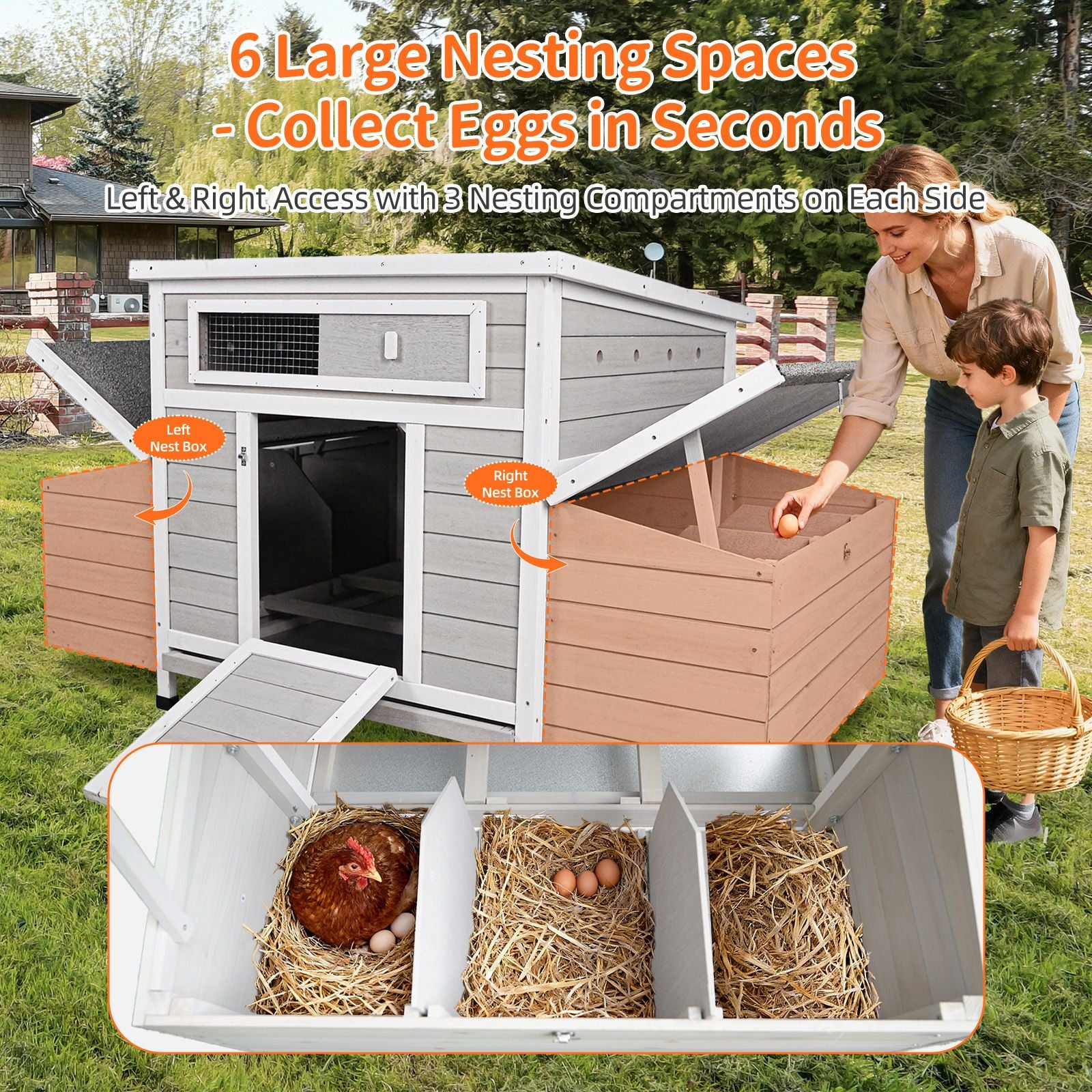 Large furniture-style Chicken Coop with water-ready Base and Secure Latches