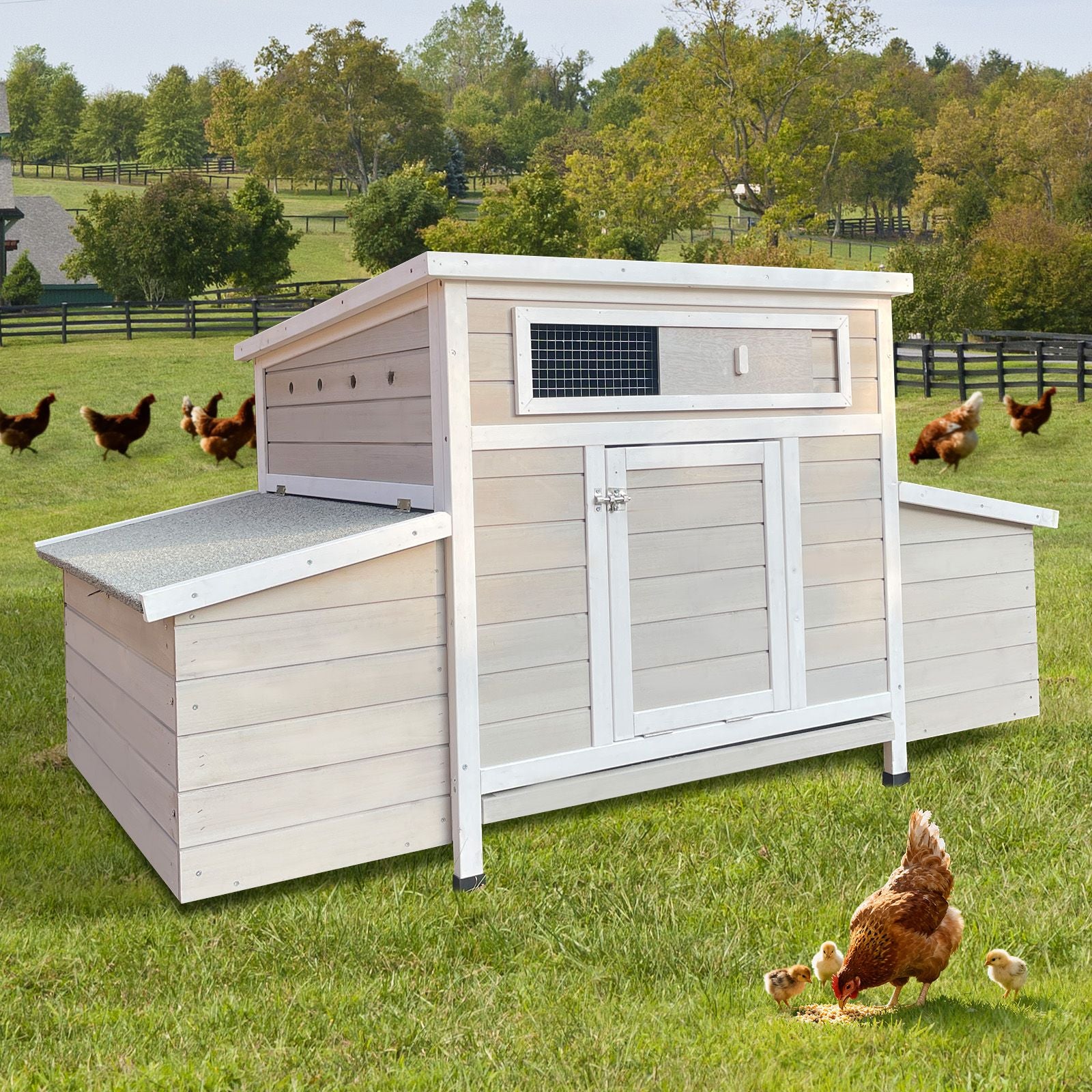 Large furniture-style Chicken Coop with water-ready Base and Secure Latches