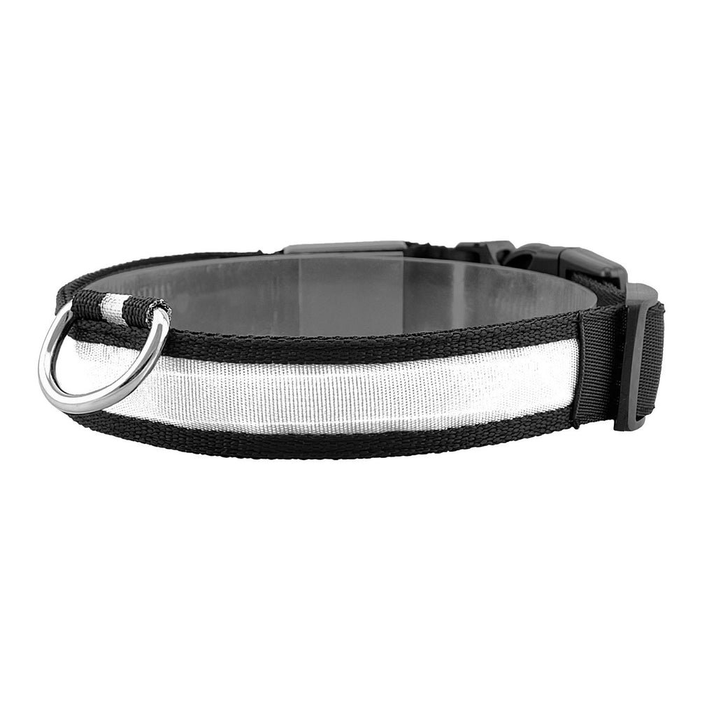 LED Dog Collar with 3 Light Modes and USB Rechargeable