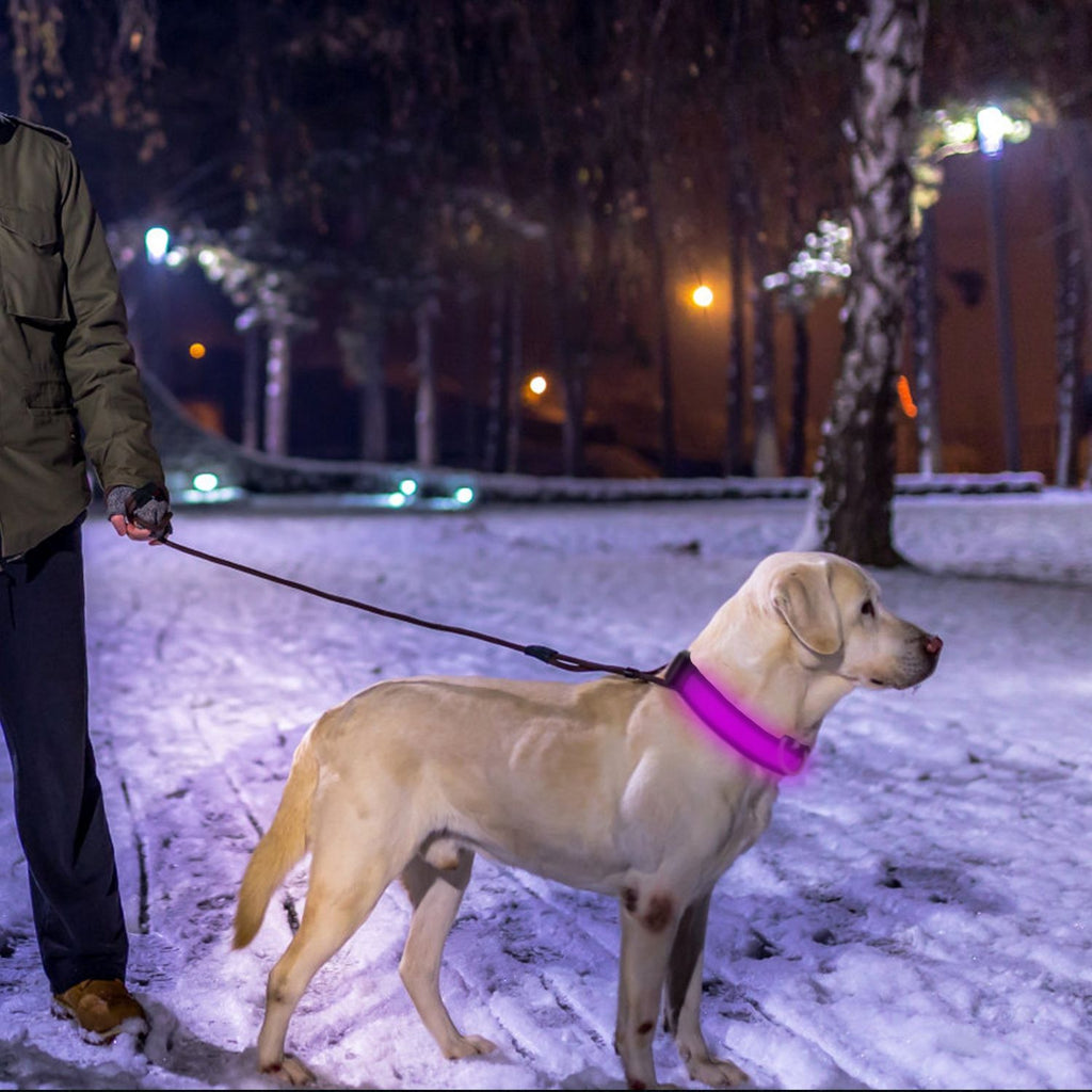 LED Dog Collar with 3 Light Modes and USB Rechargeable