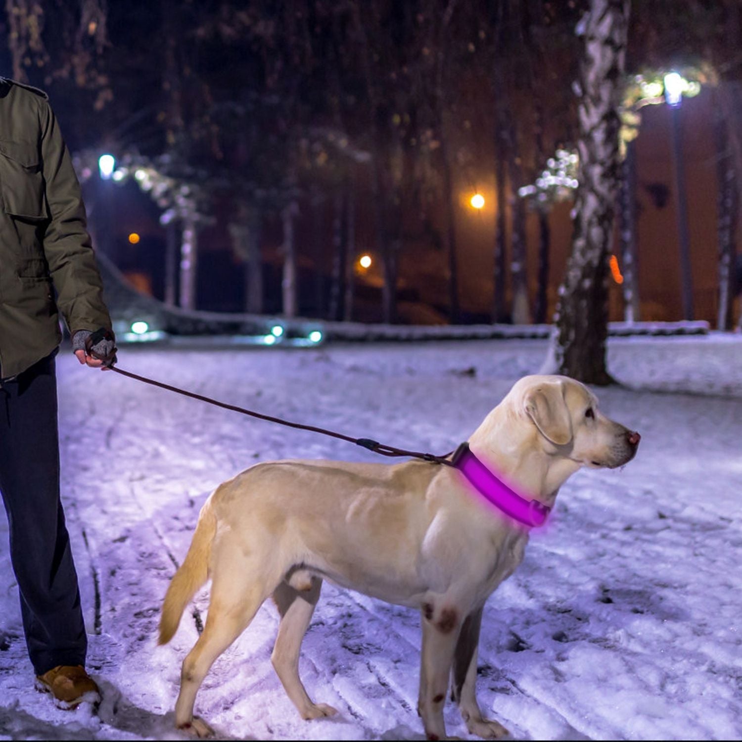 LED Dog Collar with 3 Light Modes and USB Rechargeable