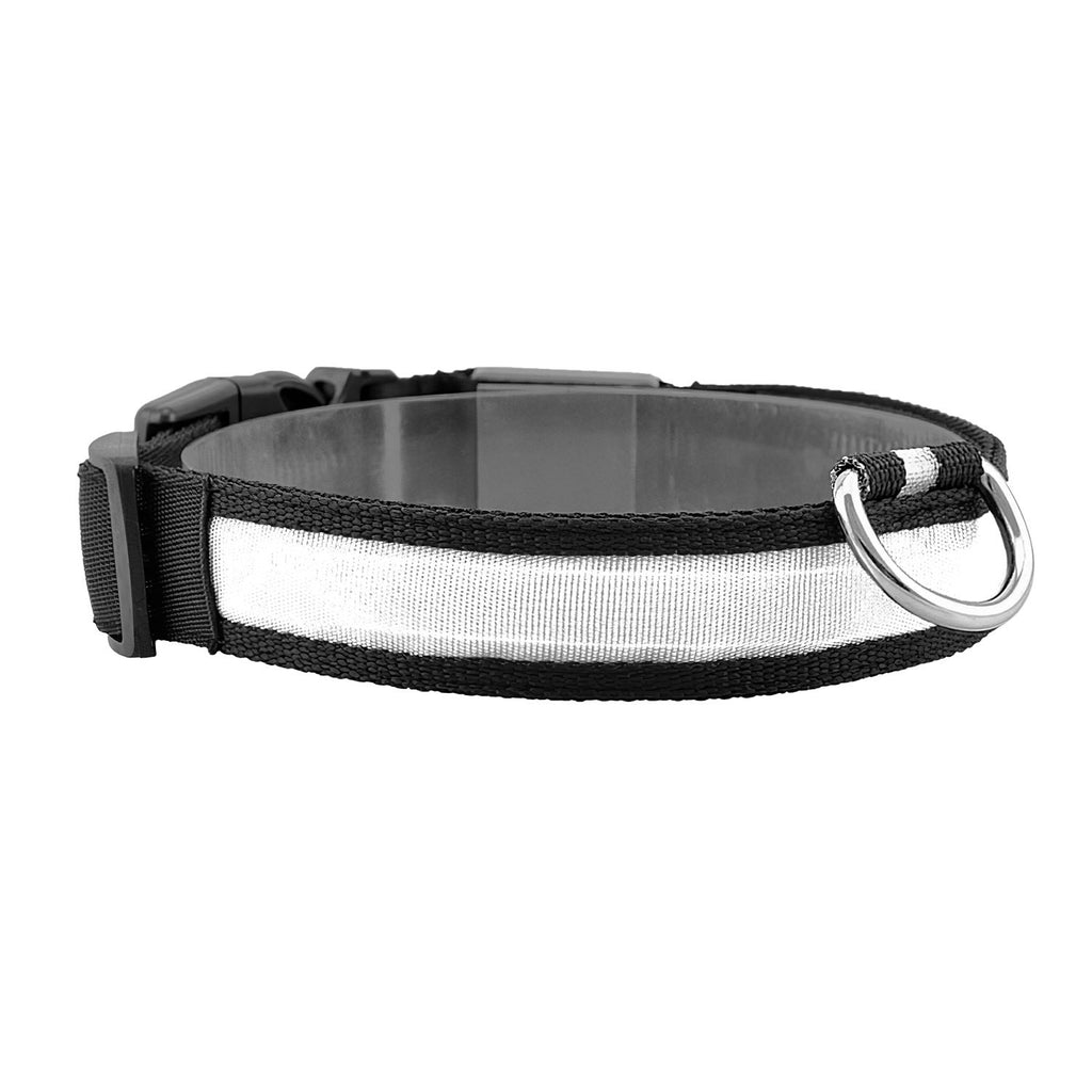 LED Dog Collar with 3 Light Modes and USB Rechargeable