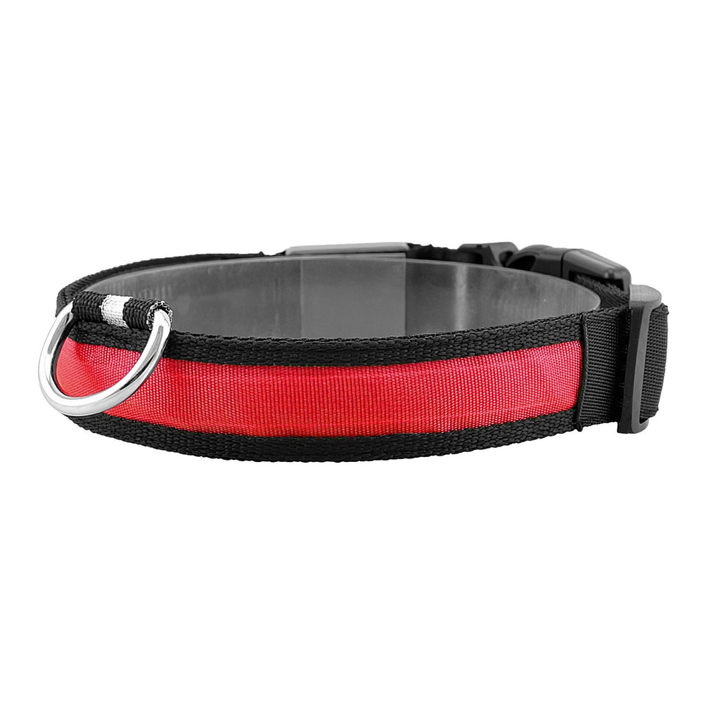 LED Dog Collar with 3 Light Modes and USB Rechargeable