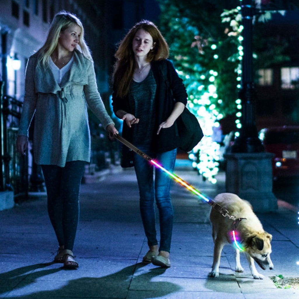 LED Dog Collar with 9 Colors & IPX7 water-ready