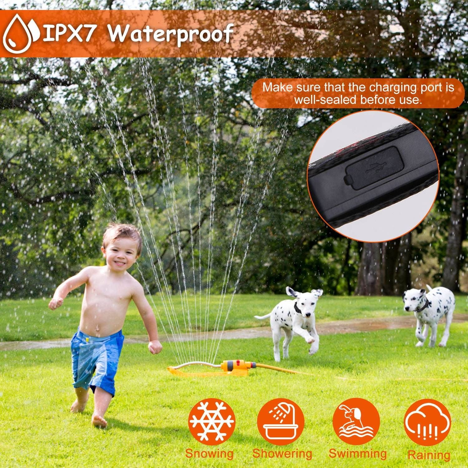 LED Dog Collar with 9 Colors & IPX7 water-ready