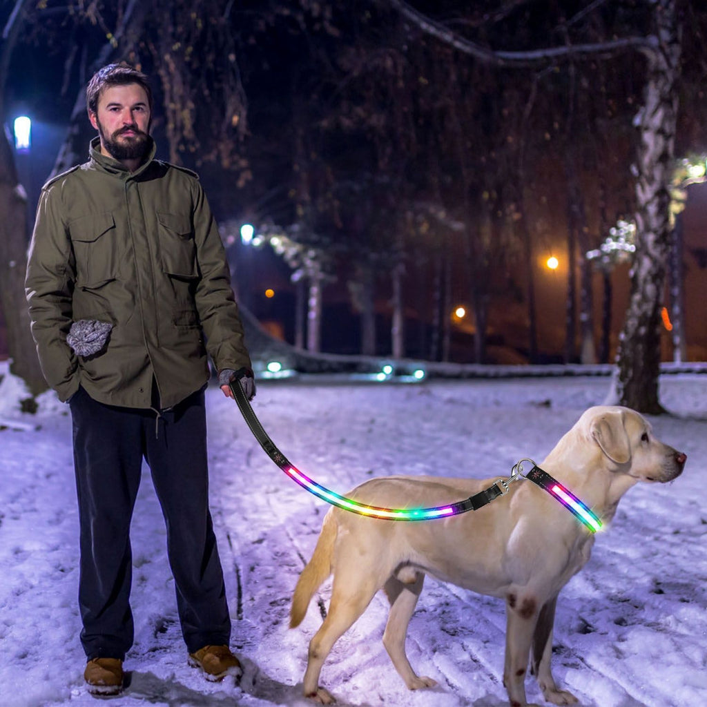 LED Dog Collar with 9 Colors & IPX7 water-ready