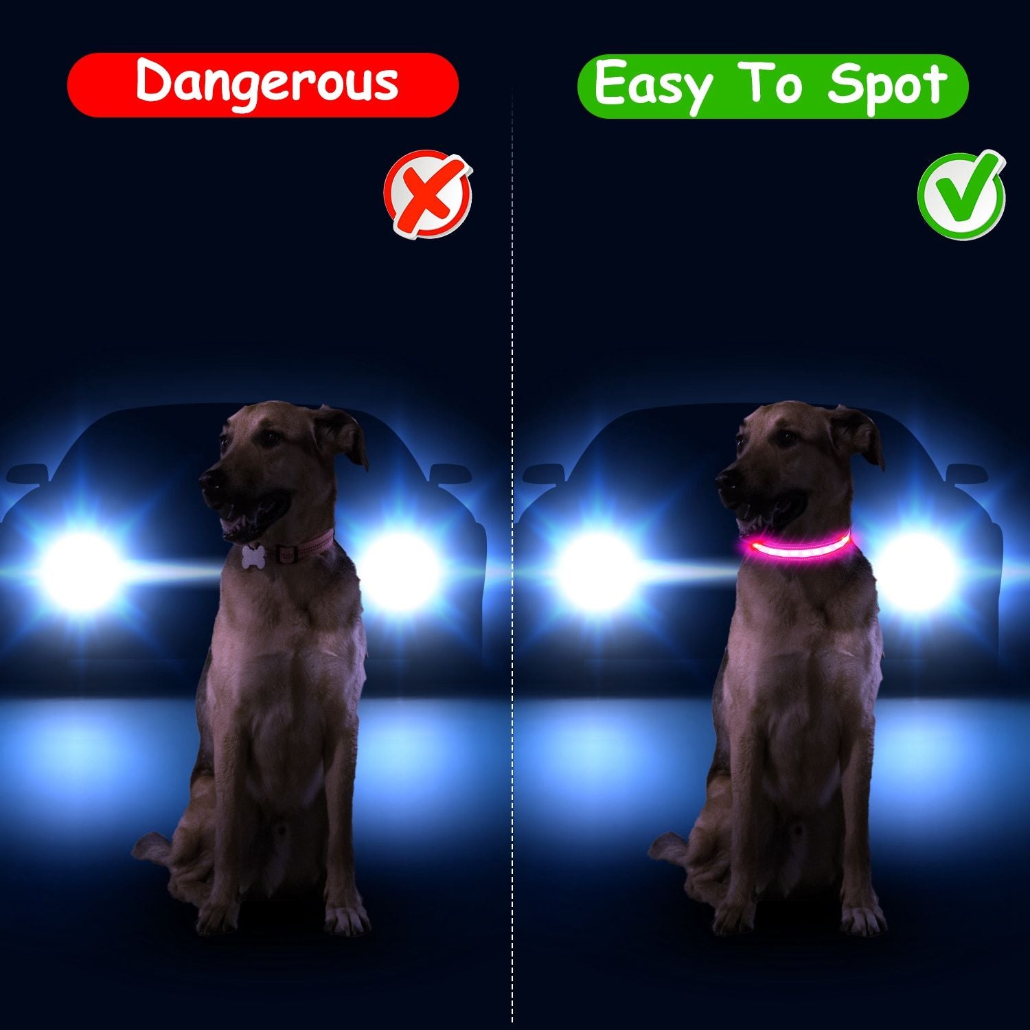 LED Dog Collar with 9 Colors & IPX7 water-ready
