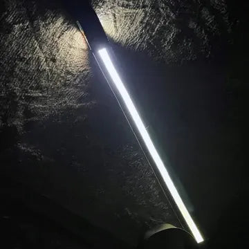 Light-Up Dog Leash for Safer Night Walks