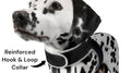 Lightweight Wearable Dog Tracking Device Rechargeable Mini Pet Locator Size:XS
