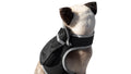 Track Your Pet Anywhere with the Pet Tracker M GPS Harness – Affordable & Comfortable