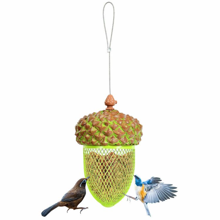 Transform Your Yard into a Bird Paradise with This Acorn-Shaped Feeder