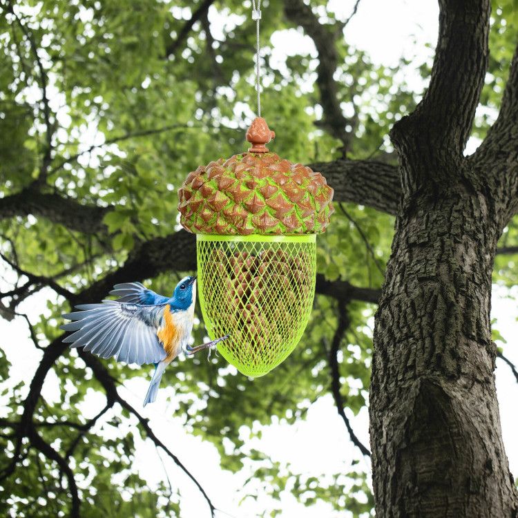 Transform Your Yard into a Bird Paradise with This Acorn-Shaped Feeder