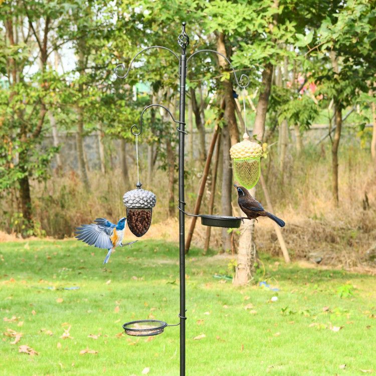 Transform Your Yard into a Bird Paradise with This Acorn-Shaped Feeder