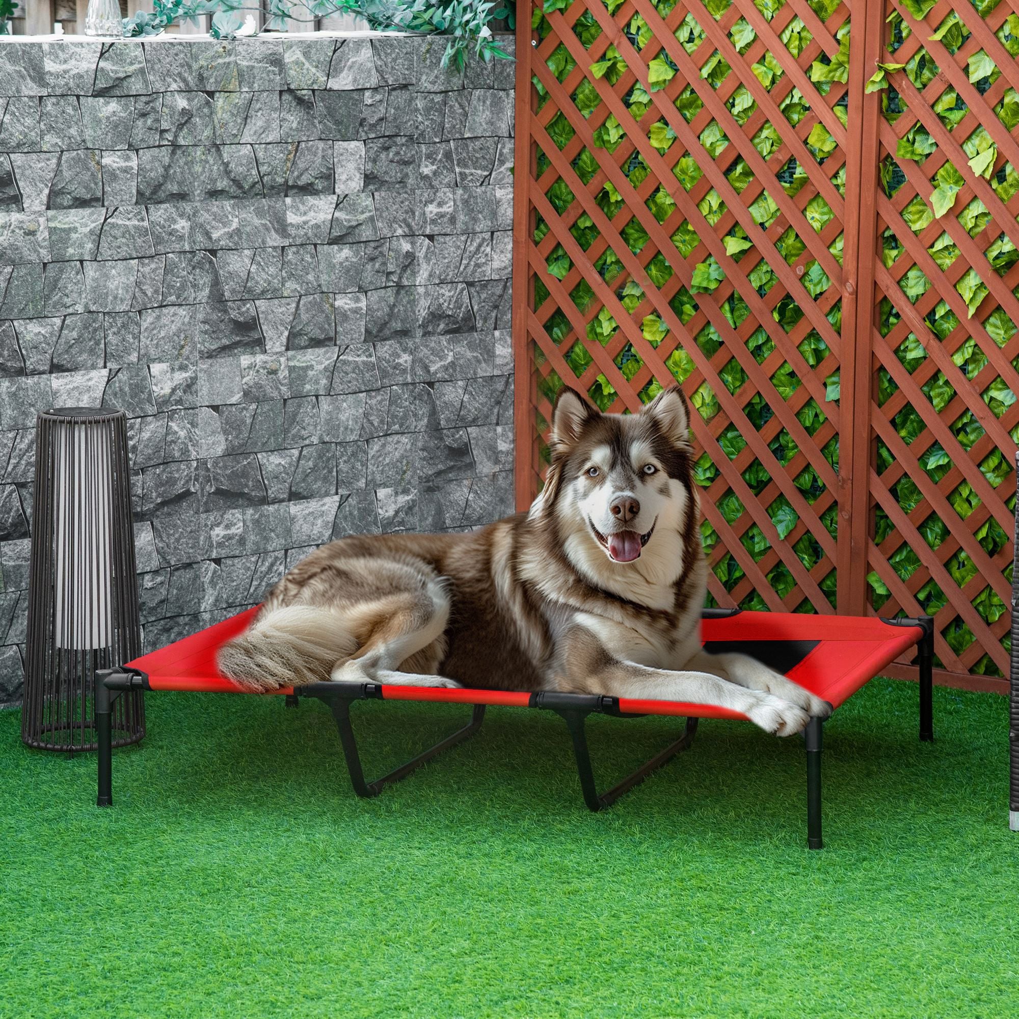 Elevated Pet Cot – Cool, Comfortable, Portable