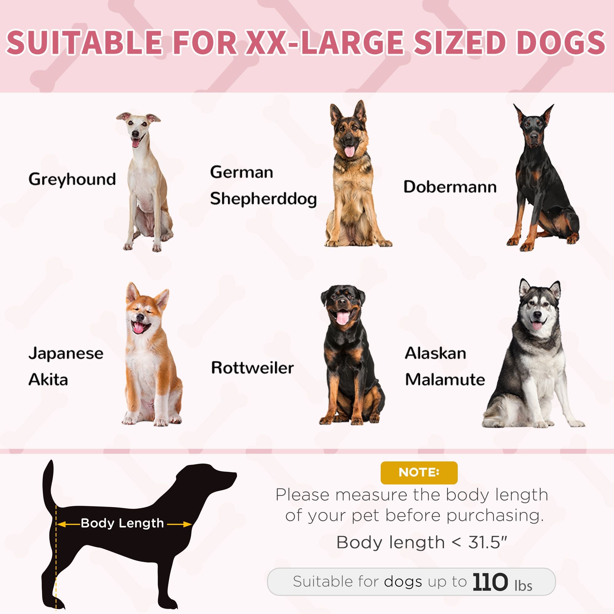 Elevated Pet Cot – Cool, Comfortable, Portable