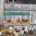 Galvanized structured 3-Compartment Nesting Box for Chickens – everyday & Easy to Assemble