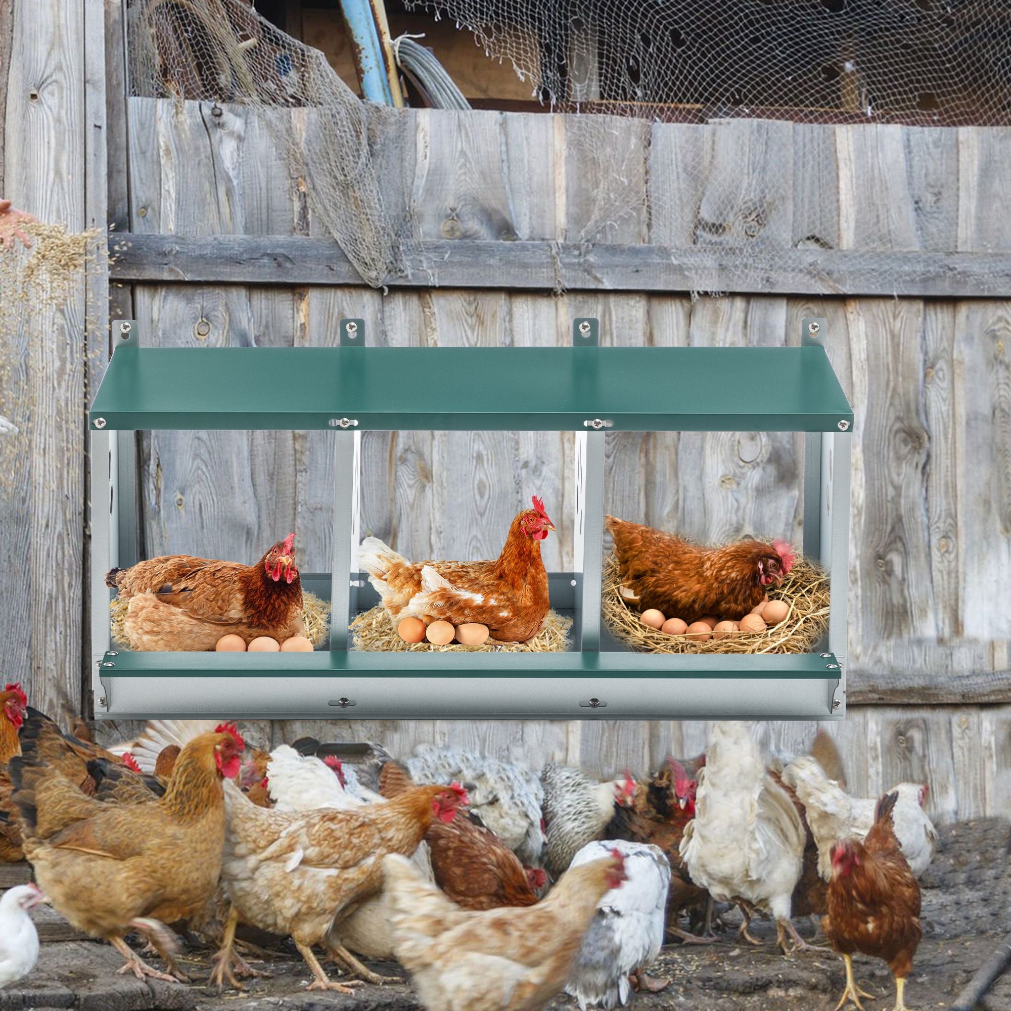Galvanized structured 3-Compartment Nesting Box for Chickens – everyday & Easy to Assemble
