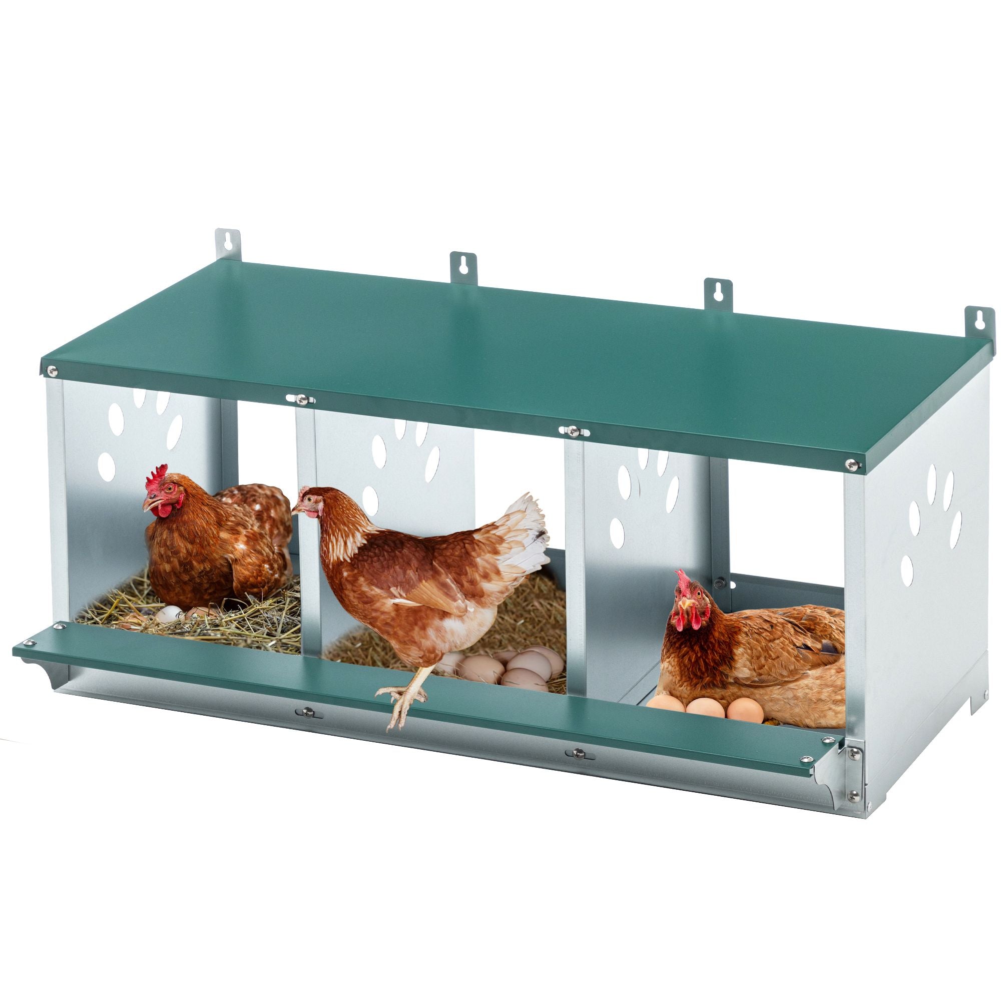 Galvanized structured 3-Compartment Nesting Box for Chickens – everyday & Easy to Assemble
