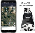 Mini GPS Cat Tracker Waterproof Collar Mount Realtime Tracking Device Size:XS