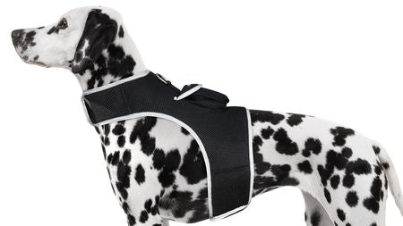 Mini Pet Realtime Tracker Advanced GPS Phone Tracking with Text Alerts Size:XS